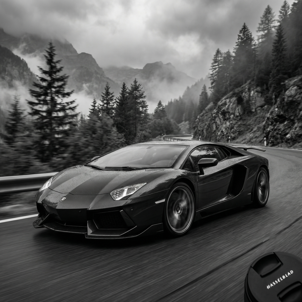 Exotic Vehicles